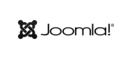 A WordPress Site