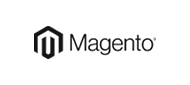 A WordPress Site